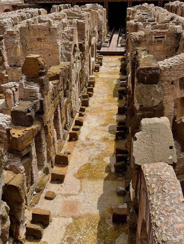 🇮🇹 Exploring the Colosseum in Rome: A Journey Through Time 🏛️✨