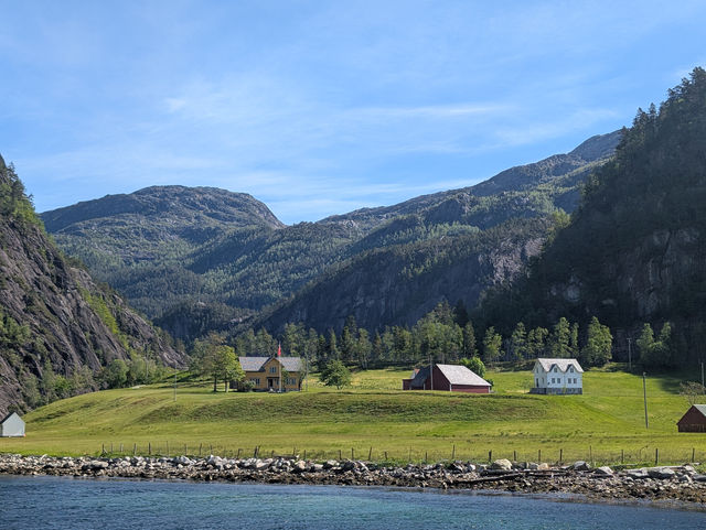  Bergen Was a Dream! Fjords, Festivals & Unforgettable Views! 🇳🇴
