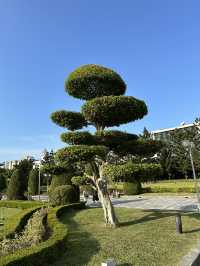 Historic Taipei Stroll: Monuments, Museums & Open Square Magic