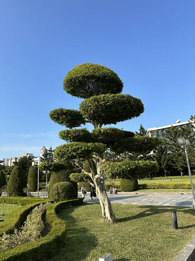 Historic Taipei Stroll: Monuments, Museums & Open Square Magic