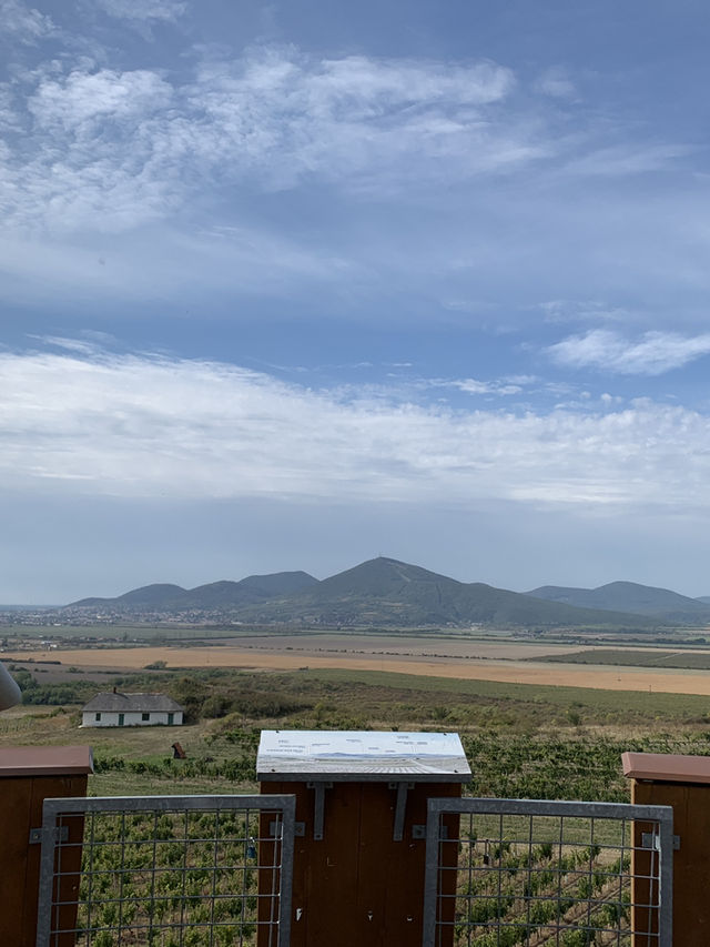 🍇 Tokaj: Land of Legendary Wine