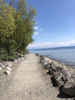 🌊 Discover the Magic of Lake Constance 🌊 Where Three Countries Meet and Nature Takes Center Stage
