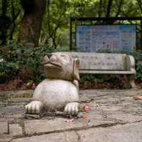 Playful Sculptures Bringing Smiles โ Funny Statues in Yangshuo Park ๐๐ณ๐ฟ