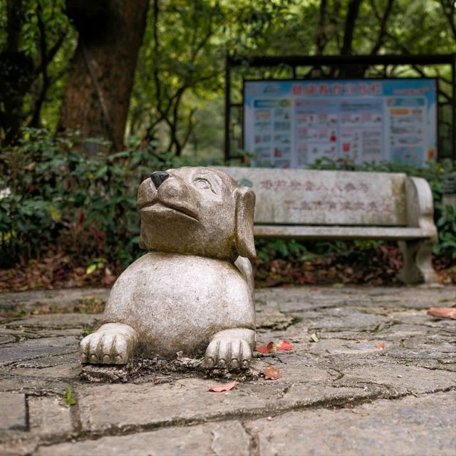 Playful Sculptures Bringing Smiles โ Funny Statues in Yangshuo Park ๐๐ณ๐ฟ Playful Sculptures Bringing Smiles โ Funny Statues in Yangshuo Park ๐๐ณ๐ฟ