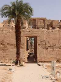 산과 사막이 펼쳐낸 왕들의 풍경 🏜