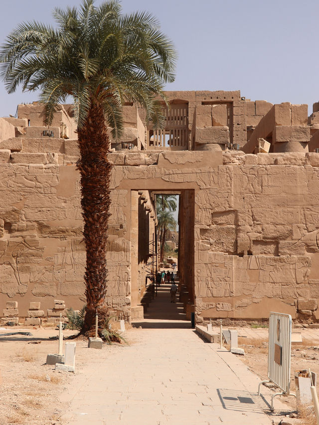 산과 사막이 펼쳐낸 왕들의 풍경 🏜