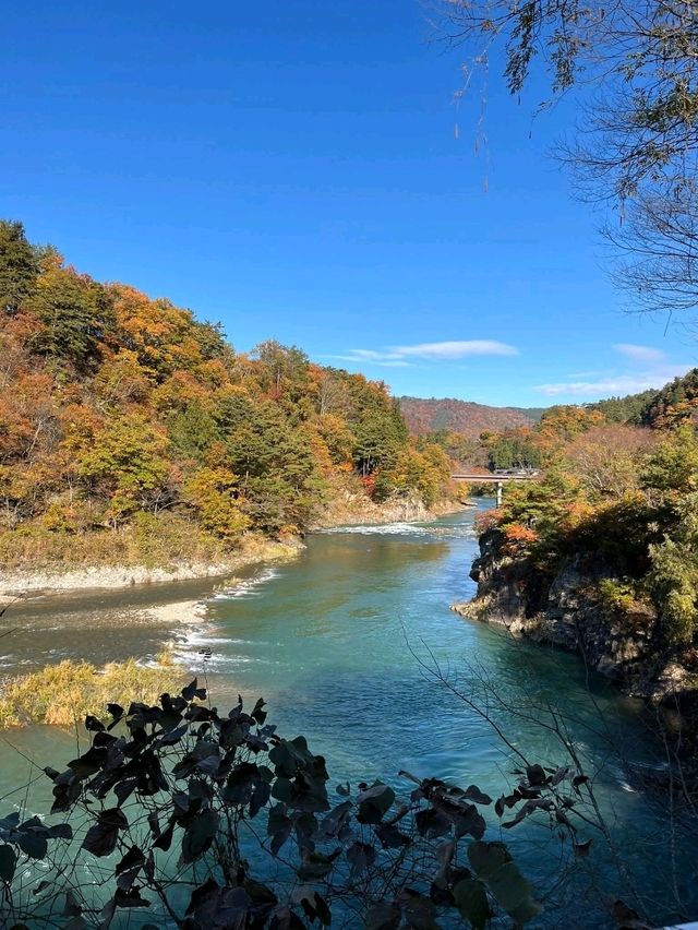 Architectural Dream🏯 Architectural Dream🏯