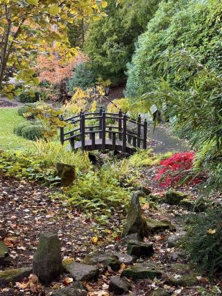 哈羅蓋特谷地花園 – 秋色正盛 