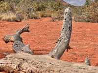 Sedona a place to hike, relax and enjoy the peace and beauty of nature