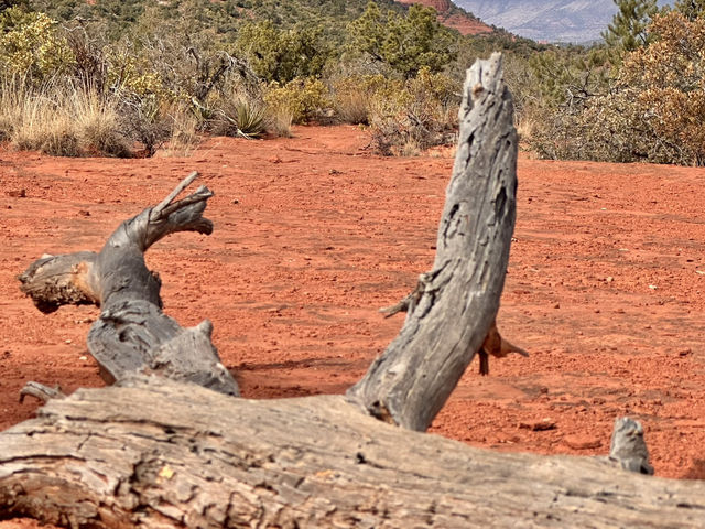 Sedona a place to hike, relax and enjoy the peace and beauty of nature