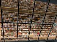 Rainy Riga Walk☁️