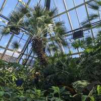 Muttart Conservatory