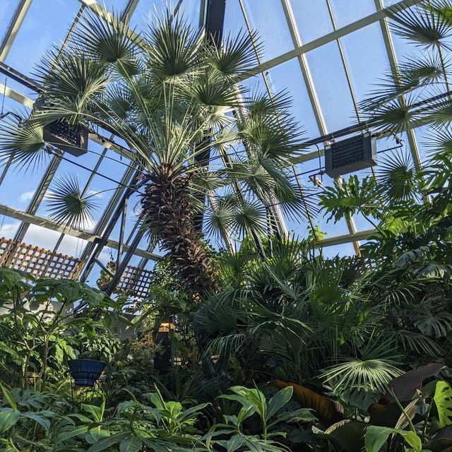 Muttart Conservatory