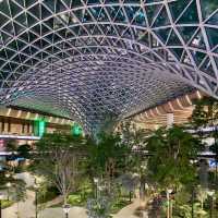 Qatar airport connecting flights waiting 10h