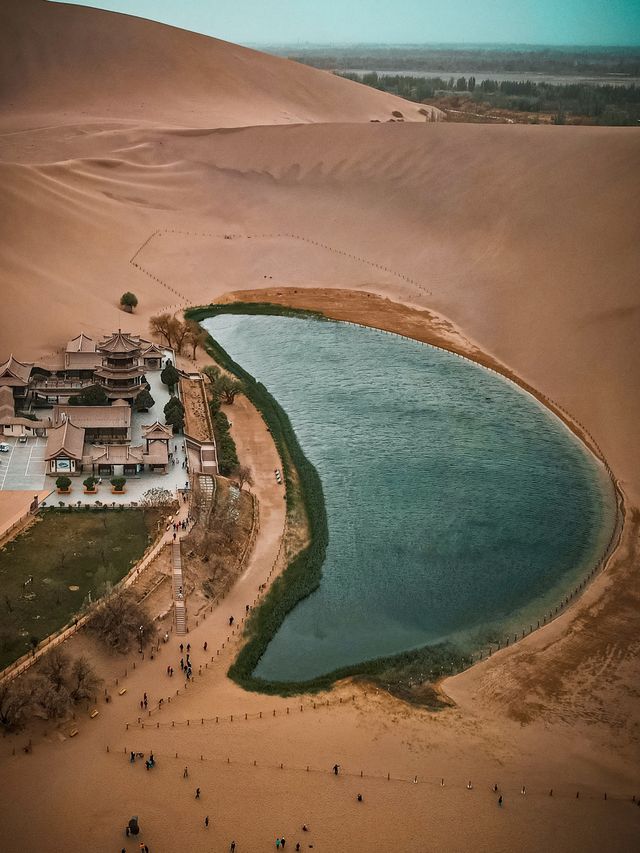 You won’t believe this OASIS in the desert😱