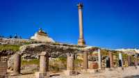 Alexander City Emblem | Pompeii Stone Pillar