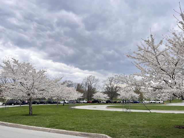 Early spring at the Royal Botanical Gardens in Canada.