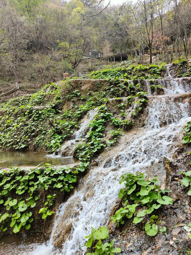 Henan Luoyang | Luan Chuan Chongdu Gou | Unbelievably Beautiful