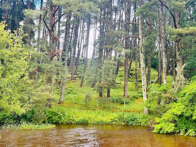Trekking in Scotland 🏴󠁧󠁢󠁳󠁣󠁴󠁿