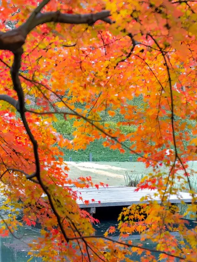 The stunning autumn scenery of West Lake is in Taiziwan