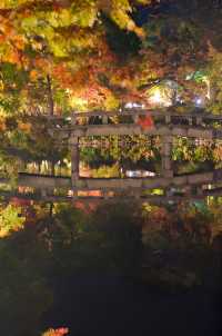 【京都·永觀堂·禪林寺·夜光版·2023】