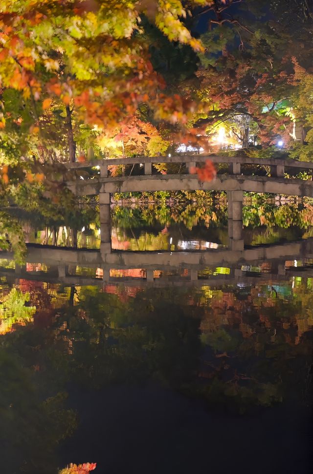 【京都·永觀堂·禪林寺·夜光版·2023】