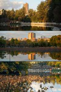 深秋的翠湖公園真的太美了（附攻略）