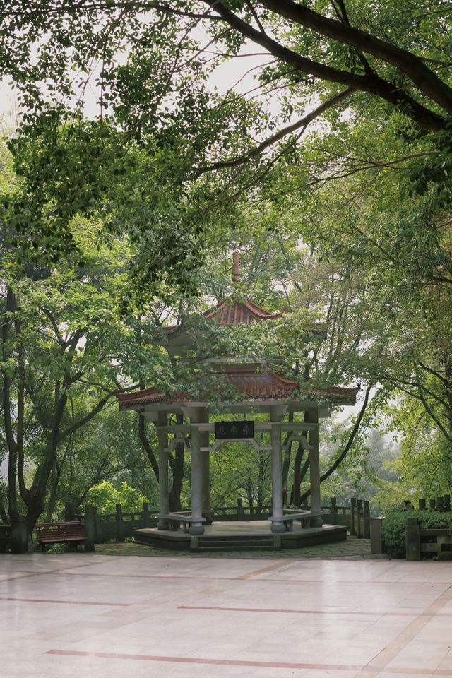 【攻略】地鐵5號線直達！大石壩的秘密花園等你來探索！