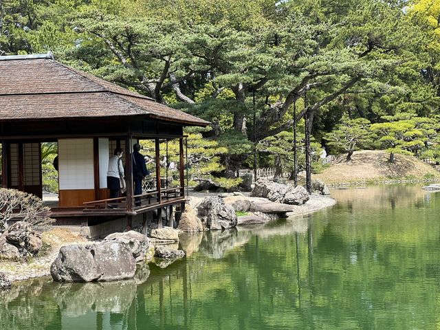 🎈高松栗林公園，一個小眾但是充滿趣味的地方，這裡遊客較少、酒店價格實惠、當地居民淳樸友善，是一個非常好的旅遊目的地