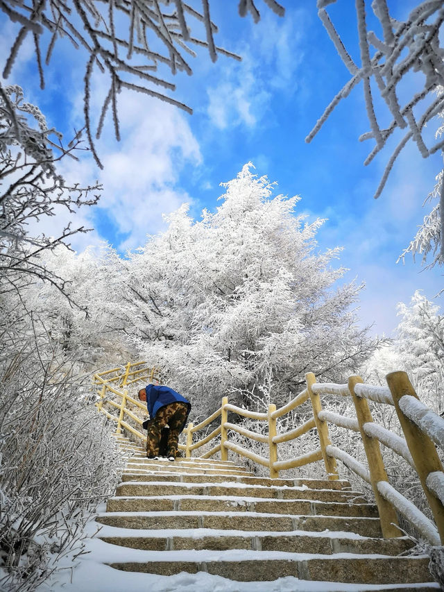 此時此刻 給你一萬個來白石山的理由