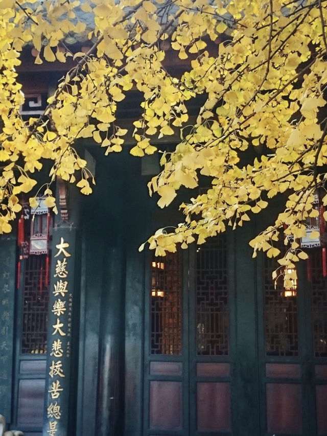 四川旅遊｜成都必打卡 老牌祈福聖地-文殊院