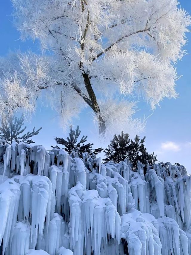 中國霧松仙境第一島，定格這份冰雪之美！