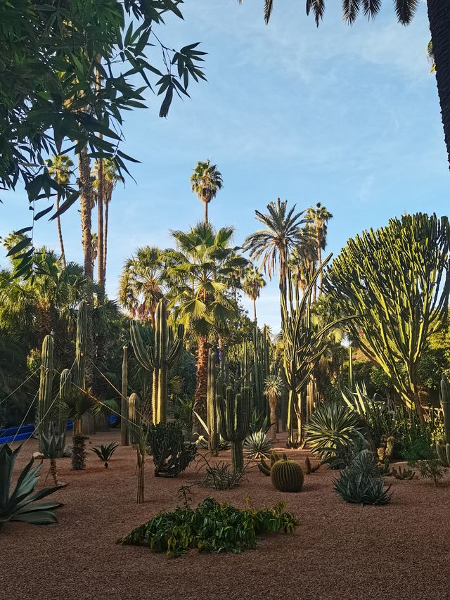 馬拉喀什馬約爾花園