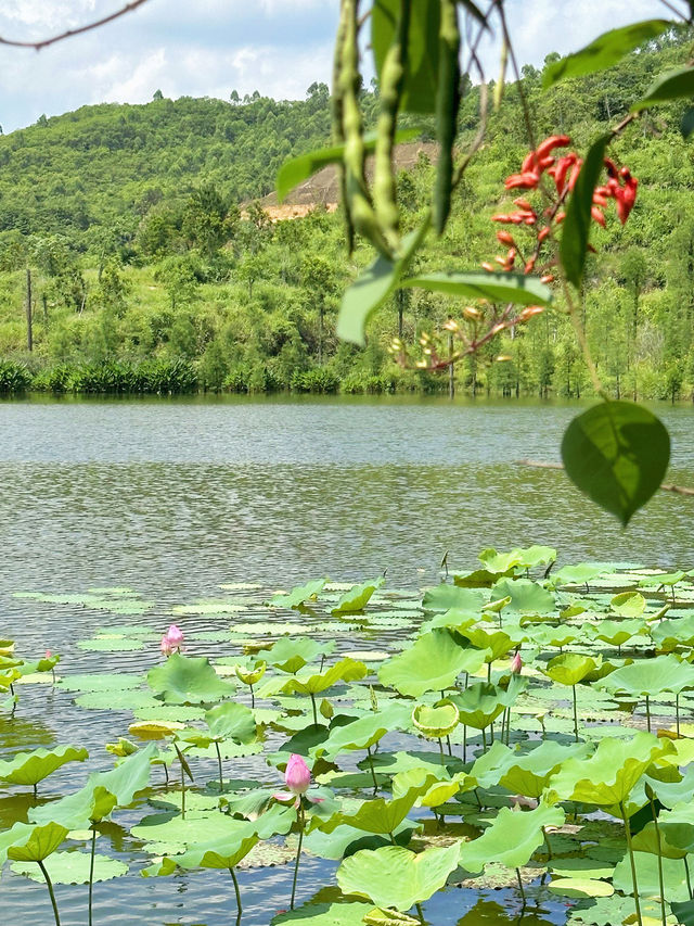 汕頭周邊遊--週末遛娃好去處
