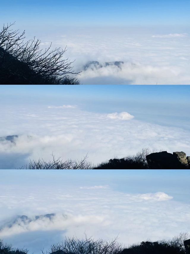 峨眉山遊玩|登頂雲海，漫步仙境