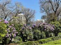 墨爾本旗杆花園