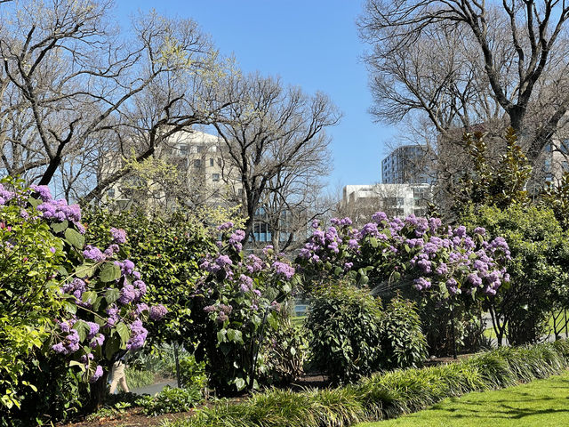 墨爾本旗杆花園