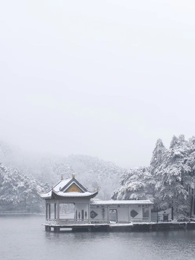 這個冬天總要來看看廬山的雪