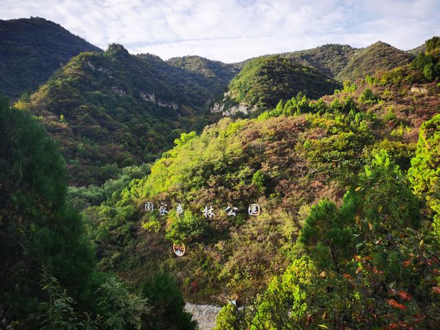 仙台山位於河北省石家莊市井陘縣境內，是國家森林公園，景區面積大，遊覽設施全，景色風光美，有奇缺植被、