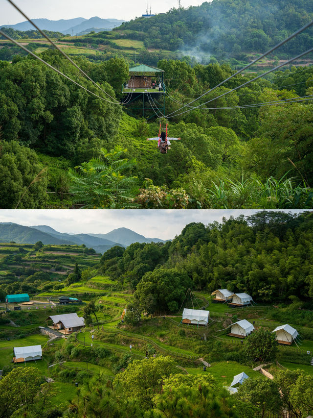 溫嶺 | 後嶺花開