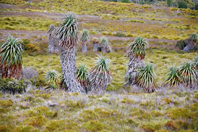 Tasmania Island Tour Day Two Guide