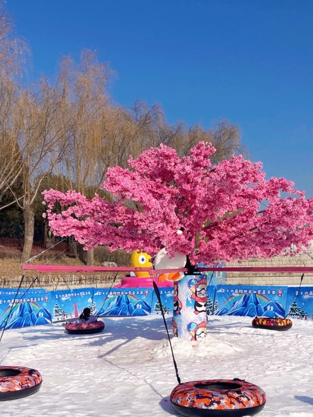 北京最好玩的冰雪公園冬日遛孩子的好去處