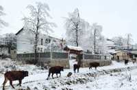 一帶一路•美麗鄉村，通渭馬營邀你來賞雪景