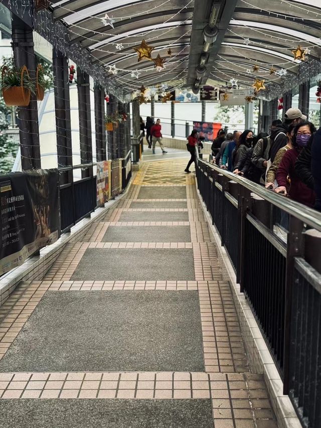 香港中環｜重遊100次都不會覺得無聊的經典線路