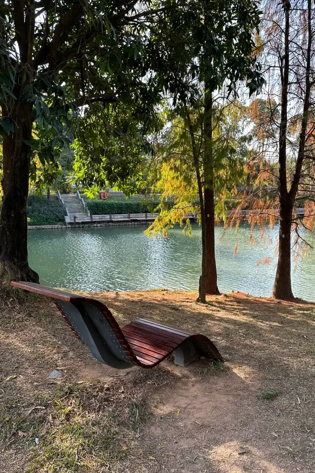 In Shenzhen! It's free! You can lie in this park all day long