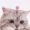 Bell_Beatrice_22