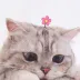 Bell_Beatrice_22