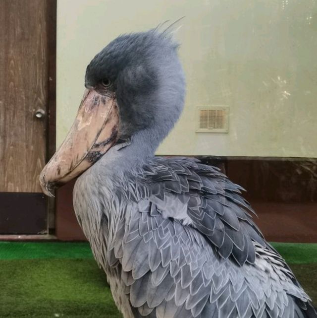 2024 일본 제1역-일본 시마네현