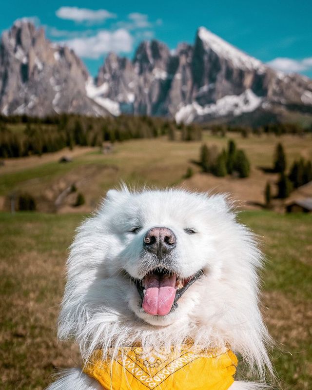 Discover the Magic of the Dolomites: Which Postcard is Your Favourite? 🇮🇹😍