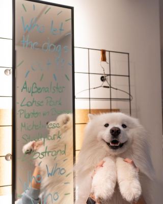 펠릭스는 우리의 숙박을 너무나 즐겼어요 🤣 @marriottbonvoy @moxy.germany *광고/광고